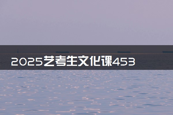 2025艺考生文化课453分能上长沙民政职业技术学院吗