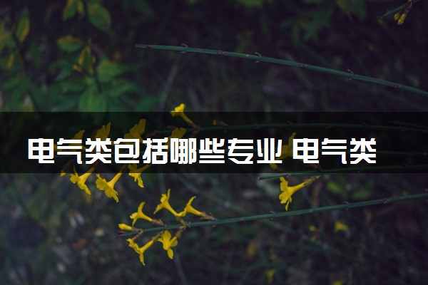 电气类包括哪些专业 电气类专业开设大学及专业代码