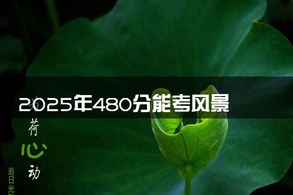 2025年480分能考风景园林专业吗 480分风景园林专业大学推荐