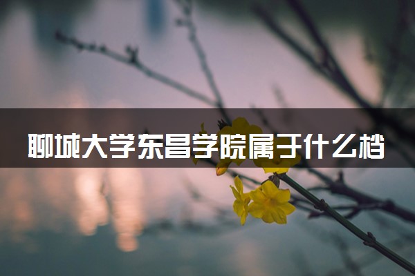聊城大学东昌学院属于什么档次 学校好不好