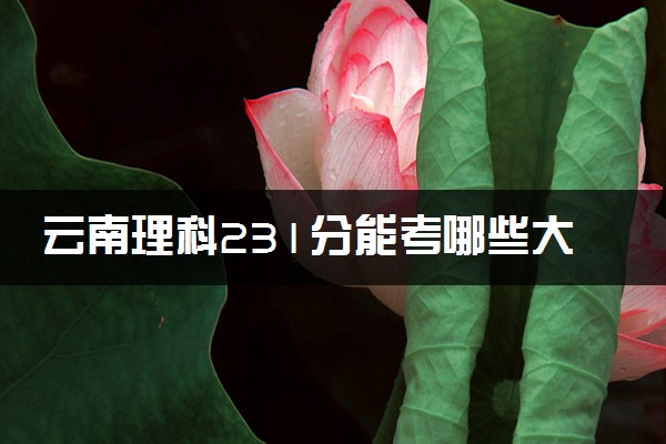 云南理科231分能考哪些大学 2025考生稳上的大学名单