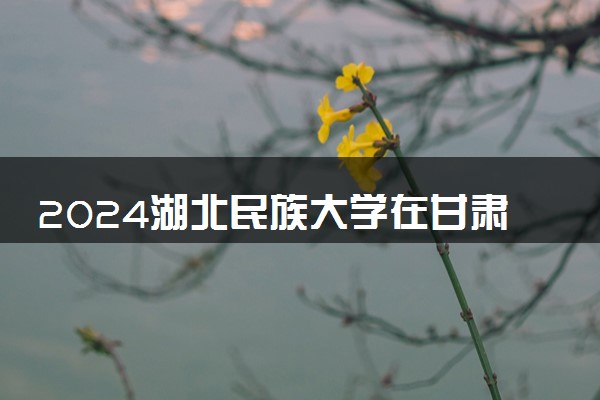 2024湖北民族大学在甘肃录取分数线 各专业分数及位次