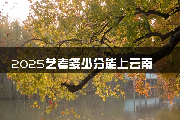 2025艺考多少分能上云南交通职业技术学院 最低分数线是多少
