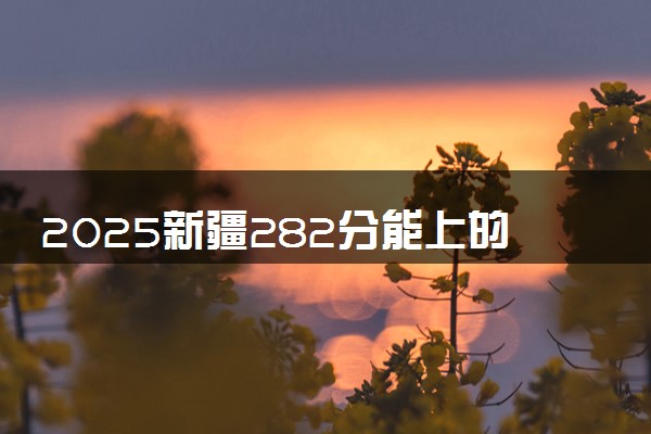 2025新疆282分能上的大学有哪些 可以报考院校名单