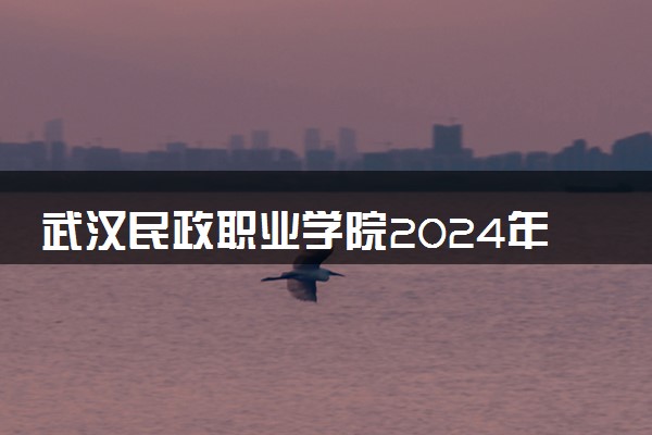 武汉民政职业学院2024年各省录取分数线 多少分能考上