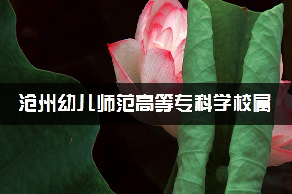 沧州幼儿师范高等专科学校属于什么档次 学校好不好