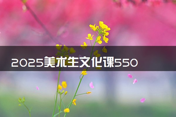 2025美术生文化课550分能上海南师范大学吗