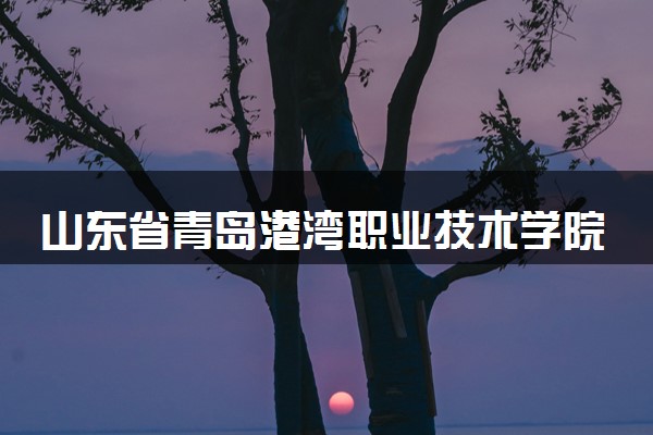 山东省青岛港湾职业技术学院学费多少钱一年