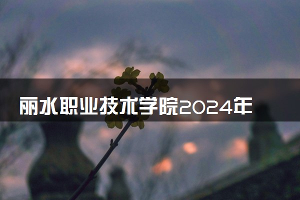 丽水职业技术学院2024年各省录取分数线 多少分能考上