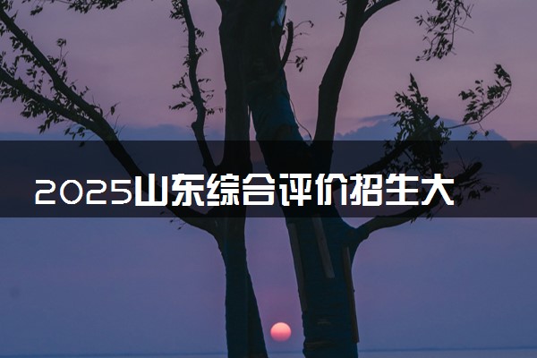 2025山东综合评价招生大学名单 有哪些专业