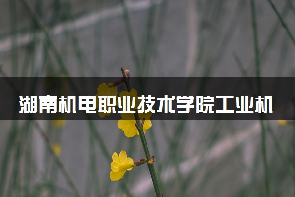 湖南机电职业技术学院工业机器人技术专业怎么样 录取分数线多少