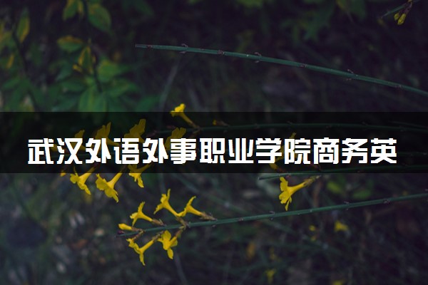 武汉外语外事职业学院商务英语（对外汉语教学）专业怎么样 录取分数线多少