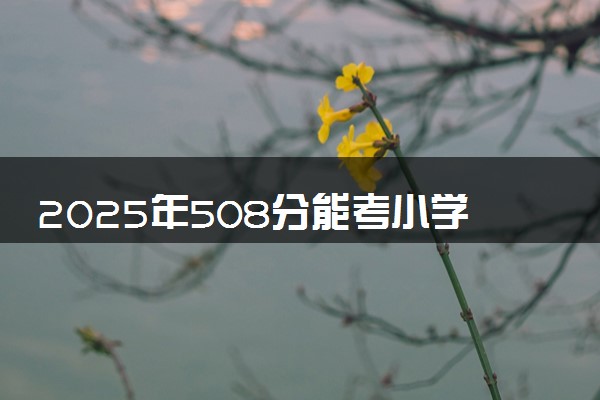 2025年508分能考小学教育专业吗 508分小学教育专业大学推荐