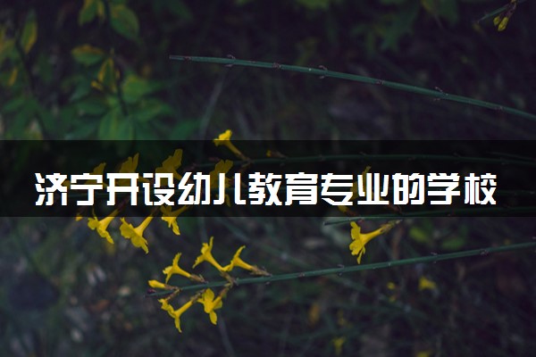 济宁开设幼儿教育专业的学校有哪些