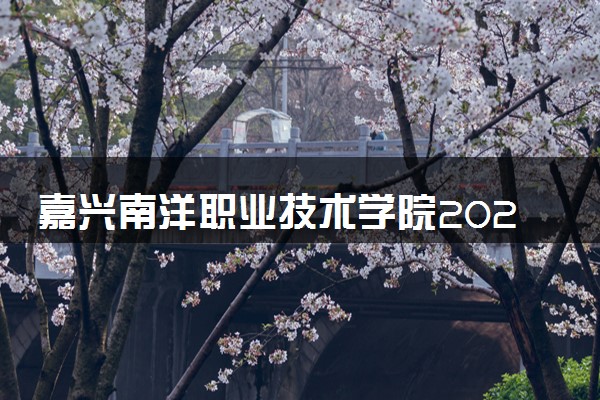 嘉兴南洋职业技术学院2024年各省录取分数线 多少分能考上