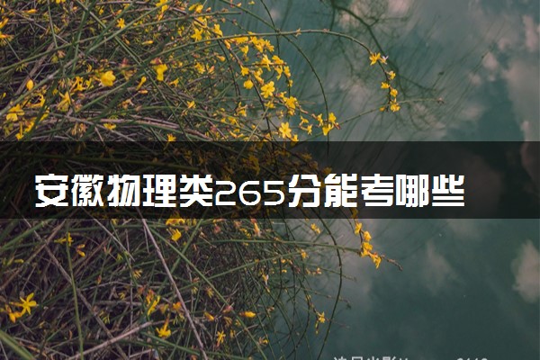 安徽物理类265分能考哪些大学 2025考生稳上的大学名单