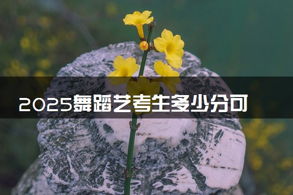 2025舞蹈艺考生多少分可以报赤峰应用技术职业学院
