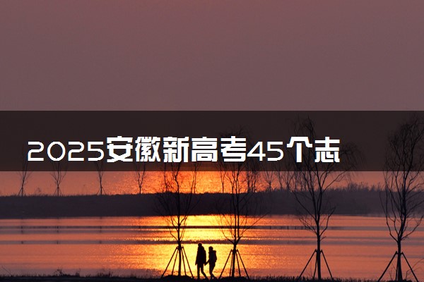 2025安徽新高考45个志愿怎么填 附填报规则及志愿样表