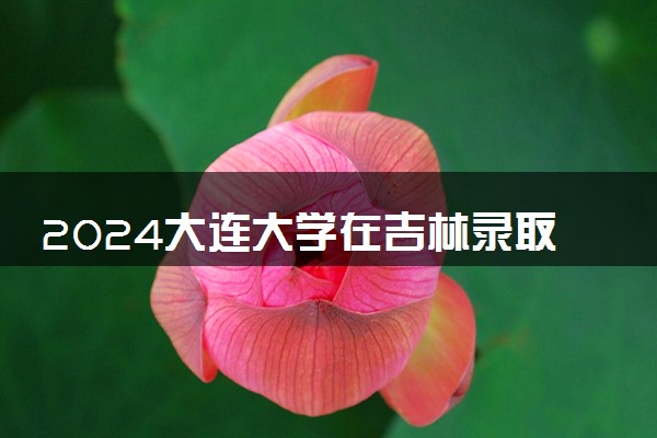 2024大连大学在吉林录取分数线 各专业分数及位次