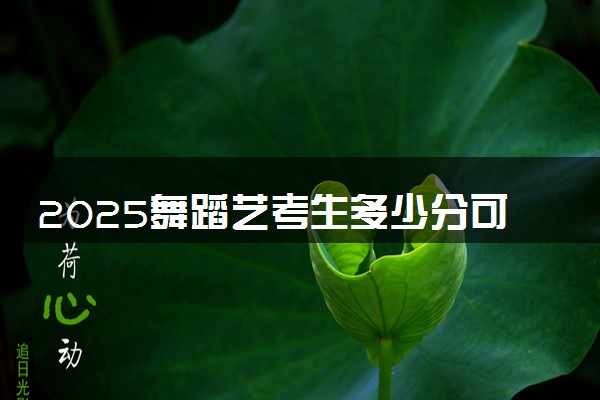 2025舞蹈艺考生多少分可以报攀枝花学院