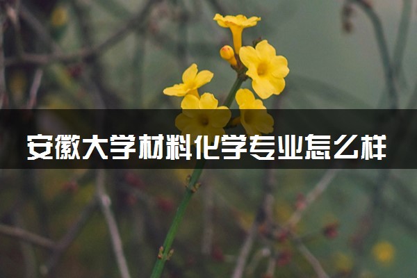 安徽大学材料化学专业怎么样 录取分数线多少