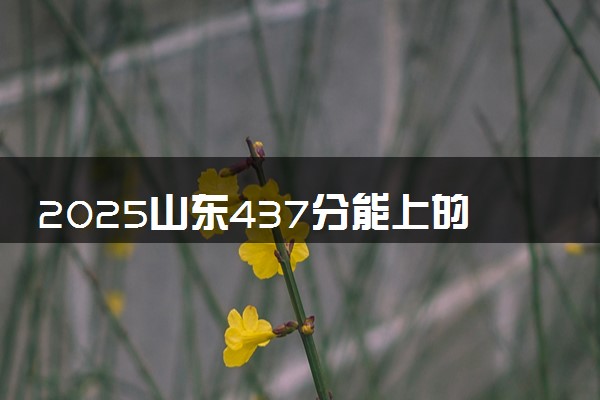 2025山东437分能上的大学有哪些 可以报考院校名单