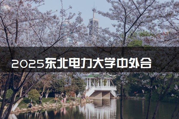 2025东北电力大学中外合作办学专业有哪些 代码是什么