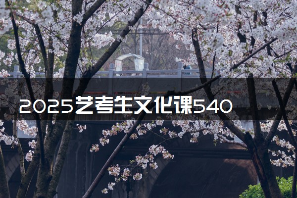 2025艺考生文化课540分能上兰州理工大学吗