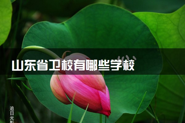 山东省卫校有哪些学校
