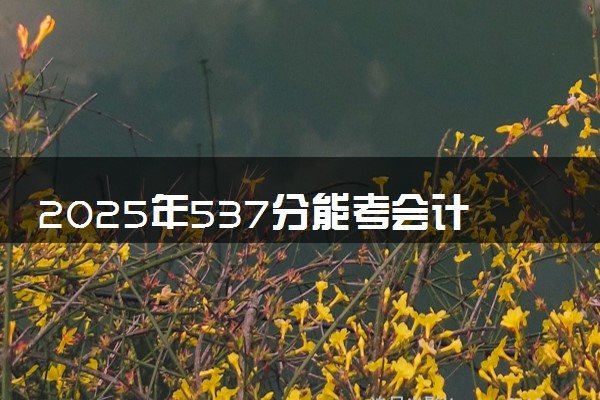 2025年537分能考会计学专业吗 537分会计学专业大学推荐