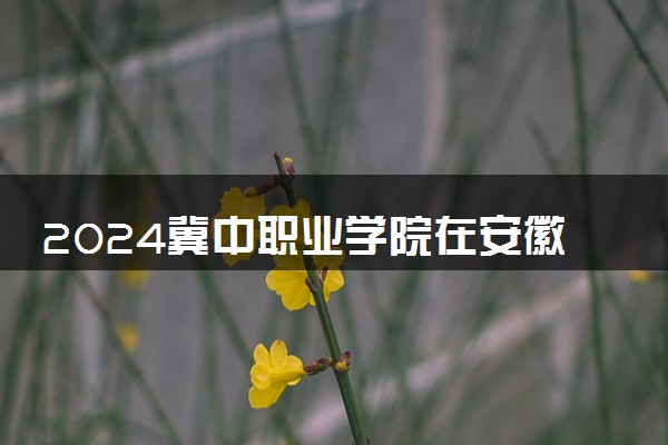 2024冀中职业学院在安徽录取分数线 各专业分数及位次