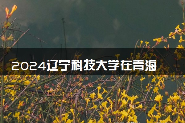 2024辽宁科技大学在青海录取分数线 各专业分数及位次