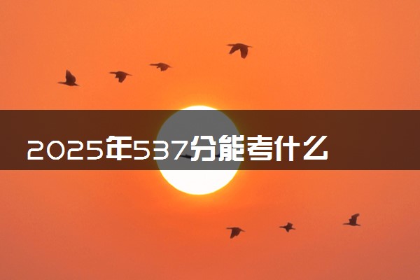 2025年537分能考什么理工类大学 哪些大学值得报
