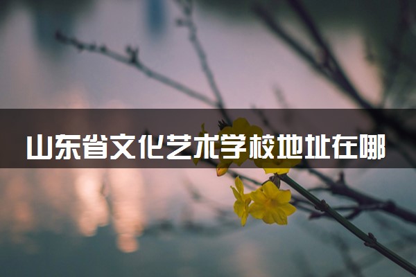 山东省文化艺术学校地址在哪里 怎么去