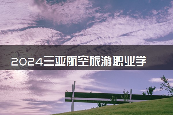 2024三亚航空旅游职业学院在山东录取分数线 各专业分数及位次