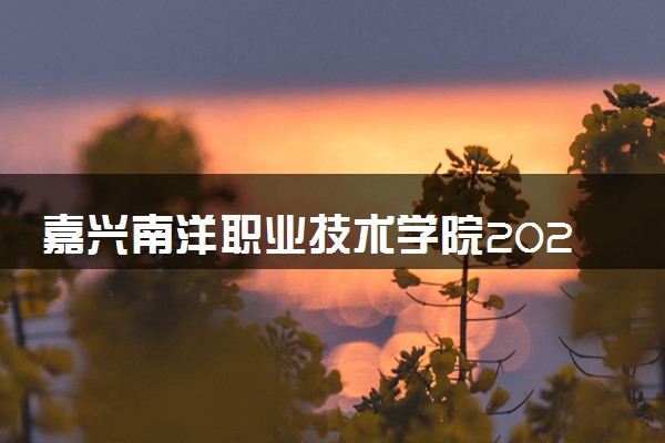 嘉兴南洋职业技术学院2024各省录取分数线及最低位次是多少