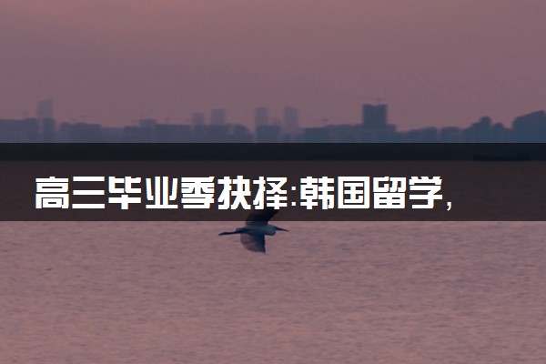 高三毕业季抉择：韩国留学，点亮你的别样未来！