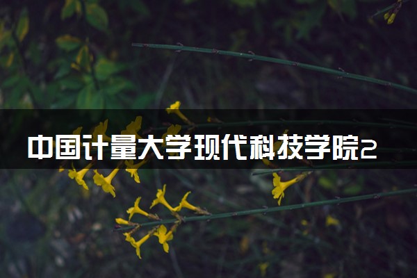 中国计量大学现代科技学院2024年各省录取分数线 多少分能考上