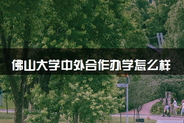 佛山大学中外合作办学怎么样 好不好