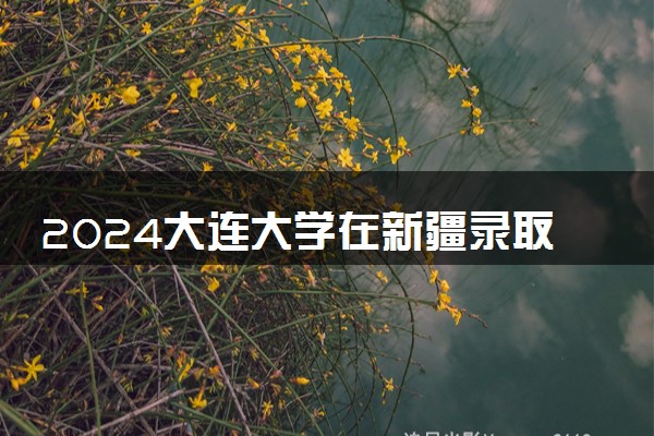 2024大连大学在新疆录取分数线 各专业分数及位次