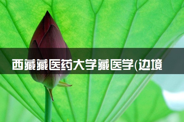 西藏藏医药大学藏医学（边境专项）专业怎么样 录取分数线多少
