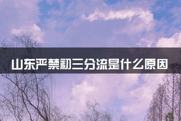 山东严禁初三分流是什么原因 教育部门这样回应