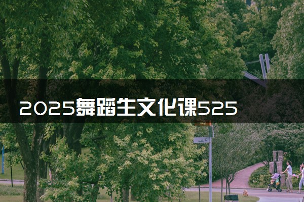 2025舞蹈生文化课525分能上昆明理工大学吗