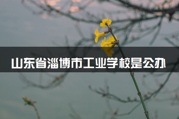 山东省淄博市工业学校是公办还是民办 是全日制吗