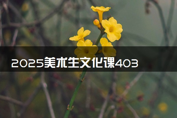 2025美术生文化课403分能上文华学院吗