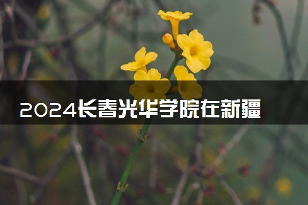 2024长春光华学院在新疆录取分数线 各专业分数及位次