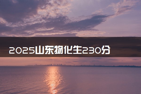 2025山东物化生230分左右能上什么大学 可以报考的院校名单