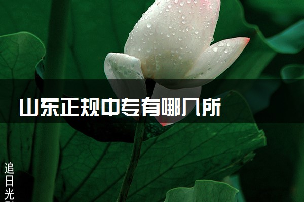 山东正规中专有哪几所