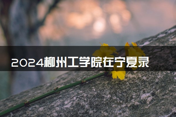 2024柳州工学院在宁夏录取分数线 各专业分数及位次