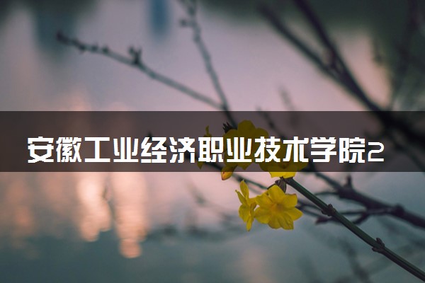 安徽工业经济职业技术学院2024各省录取分数线及最低位次是多少